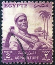 EGYPT - CIRCA 1954: A stamp printed in Egypt from the `Agriculture` issue shows a farmer, circa 1954. Royalty Free Stock Photo
