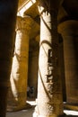 Columns in the Temple of Philae, Temple of Isis