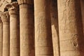 Egypt is full of historical artifacts with many columns