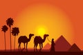 Egypt Great Pyramids with Camel caravan on sunset background Royalty Free Stock Photo