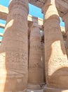 Egypt, hieroglyph, frescoes, tomb, stone, wall, temple, antiquity, mummy, column, portrait, image, ruins, ruins, statue, pharaoh Royalty Free Stock Photo