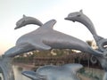 Egypt, Hurghada July 2019: Dolphins flock