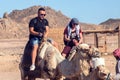 Egypt, Hurghada, 12 may 2019, beduins and tourits ride a camels in the desert Royalty Free Stock Photo