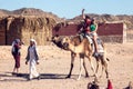 Egypt, Hurghada, 12 may 2019, beduins and tourits ride a camels in the desert Royalty Free Stock Photo