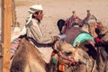 Egypt, Hurghada, 12 may 2019, beduins and tourits ride a camels in the desert Royalty Free Stock Photo