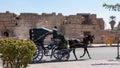 EGYPT, KARNAK - MARCH 01, 2019: a cart with a horse for walking with tourists against the backdrop of the temple complex in Royalty Free Stock Photo