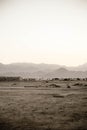 Egypt landscape Silhouettes of tropical palms Mountains and houses at sunset Sandy desert Rural landscape. Old town with Royalty Free Stock Photo