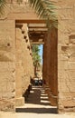 Egypt, Luxor Royalty Free Stock Photo