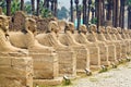 Egypt, Luxor, Amun Temple of Luxor.