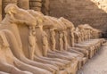 Egypt, Luxor - Karnak Temple, complex of Amun-Re. Royalty Free Stock Photo
