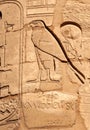 EGYPT, LUXOR - MARCH 01, 2019: ancient Egyptian hieroglyphs, drawings and inscriptions on the walls and columns in the temple of