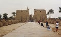 Egypt 1986, Luxor temple detail Royalty Free Stock Photo