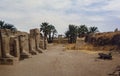 Egypt 1986, Luxor temple detail Royalty Free Stock Photo