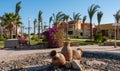 EGYPT, MARS ALAMA - FEBRUARY 27, 2019: large clay jugs in the interior of the courtyard of a hotel in Egypt, Marsa Alam