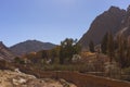 Egypt. Saint Catherine`s Monastery. Mount Sinai Royalty Free Stock Photo