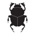 Egypt scarab silhouette vector illustration.