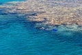 Egypt, Sharm el Sheikh - July 23, 2021. A man swims with a mask in the red sea. Tiran island Jackson reef Royalty Free Stock Photo