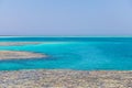 Egypt, Sharm el Sheikh - July 23, 2021. A man swims with a mask in the red sea. Tiran island Jackson reef Royalty Free Stock Photo