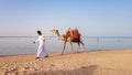 Egypt, Sharm El Sheikh - June 15, 2019: A camel owner, walking along the beach, is looking for a tourist to offer a camel ride. A Royalty Free Stock Photo