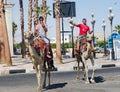 Egypt. Sharm El Sheikh. 2 young men on camels in the streets.