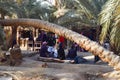 Egypt, Siwa oasis, Sea side, Sun set, trees