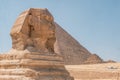 Egypt Summer Travel Egyptian Marvel: Sphinx Sculpture in Giza