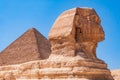 Egypt Summer Travel Egyptian Marvel: Sphinx Sculpture in Giza