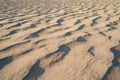 Egypt yellow sand dunes ripple background texture Royalty Free Stock Photo