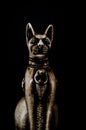 Egyptian black bastet cat figurine on black background Royalty Free Stock Photo