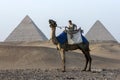 An Egyptian boy sits on a camel in front of the Pyramids of Giza in Cairo, Egypt.