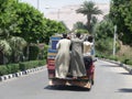 Egyptian bus