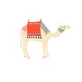 Egyptian camel decorated with bright carpets and ornaments