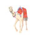 Egyptian camel decorated with bright carpets and ornaments