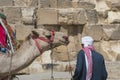 Egyptian Camel at Giza Pyramids background. Tourist attraction - Royalty Free Stock Photo