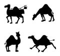 Egyptian camel isolated vector Silhouettes Royalty Free Stock Photo