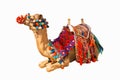 Egyptian camel isolated
