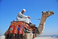 Egyptian camel rider