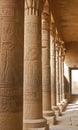 Egyptian carving on column in Philae temple Royalty Free Stock Photo