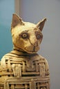 Egyptian Cat Mummy