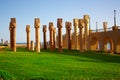 Egyptian columns Royalty Free Stock Photo