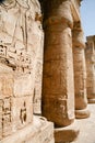 Egyptian columns decorated