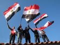 Egyptian demostrators waving flags