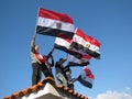 Egyptian demostrators waving flags