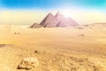 Egyptian desert scenery with the Great Pyramids of  Giza Royalty Free Stock Photo