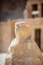 Egyptian eagle statue made of stone. View of Hatshepsut\'s temple. Mortuary temple of the pharaoh of the Hatshepsut dynasty.
