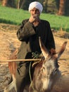 Egyptian farmer