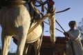 Egyptian Farmer Riding a Carriage with a Donkey on The Road, Cairo, Egypt