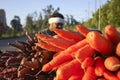 Egyptian Farmer Selling Carrots Beside The Road, Cairo, Egypt on