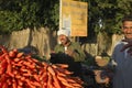 Egyptian Farmer Selling Carrots Beside The Road, Cairo, Egypt on