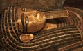 Egyptian golden wooden sarcophagus